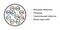 Hyperline Кабель витая пара U/UTP, категория 5, 10 пар (24 AWG), одножильный (solid), LSZH нг(А)-HF, –20°C – +60°C, серый - 24