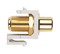 Hyperline Вставка формата Keystone Jack, F-type / RCA желтый (IN/OUT), gold plated, ROHS, белая - 61
