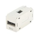 PANDUIT Модуль Mini-Com® с разъемом USB 2.0 Female A/Female A, белый