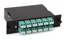 Hyperline Волоконно-оптическая кассета MTP (c направляющими штырьками), 12DLC, 24 волокна, OM3, 10Gig, W-тип